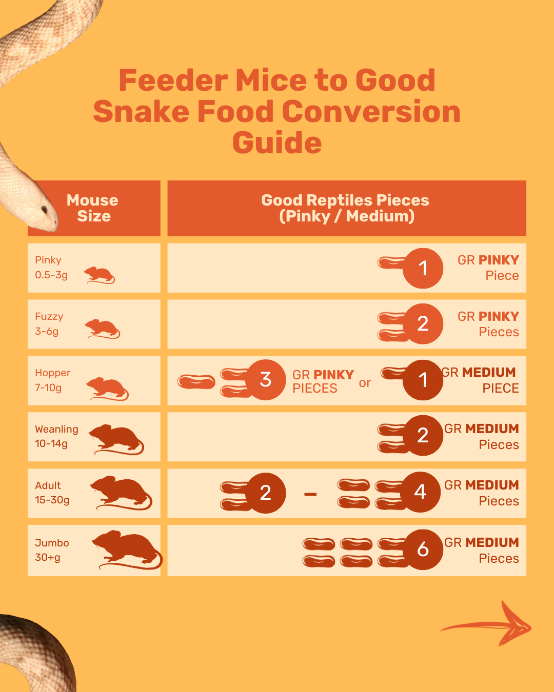 Good Snake Food - Medium Size (30 count)