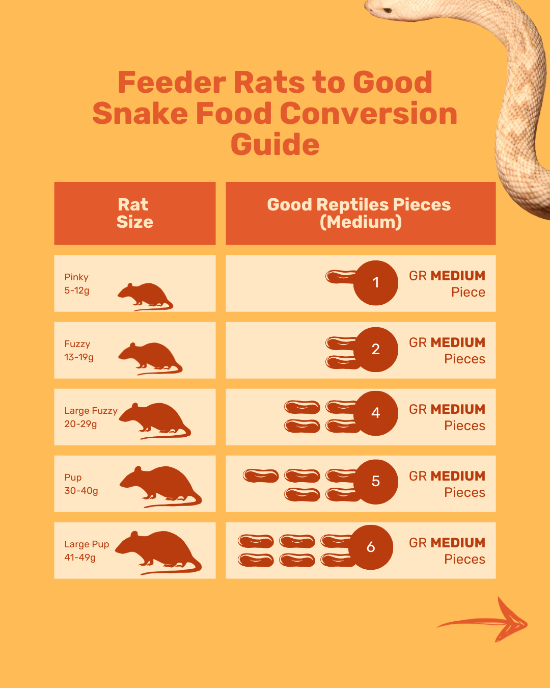 Good Snake Food - Medium Size (30 count)