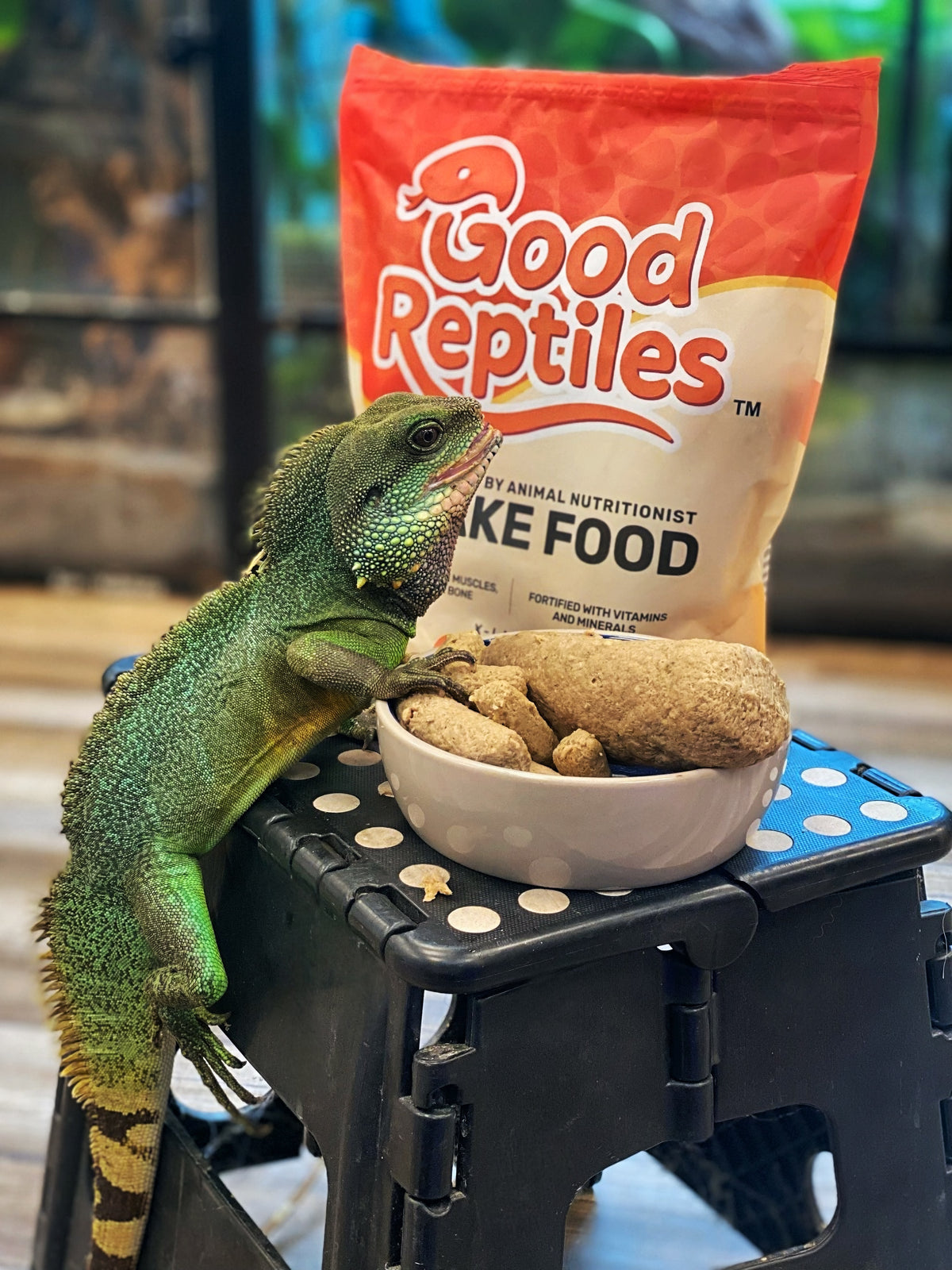 NEW Good Snake Food - Small Size (FKA "Medium")